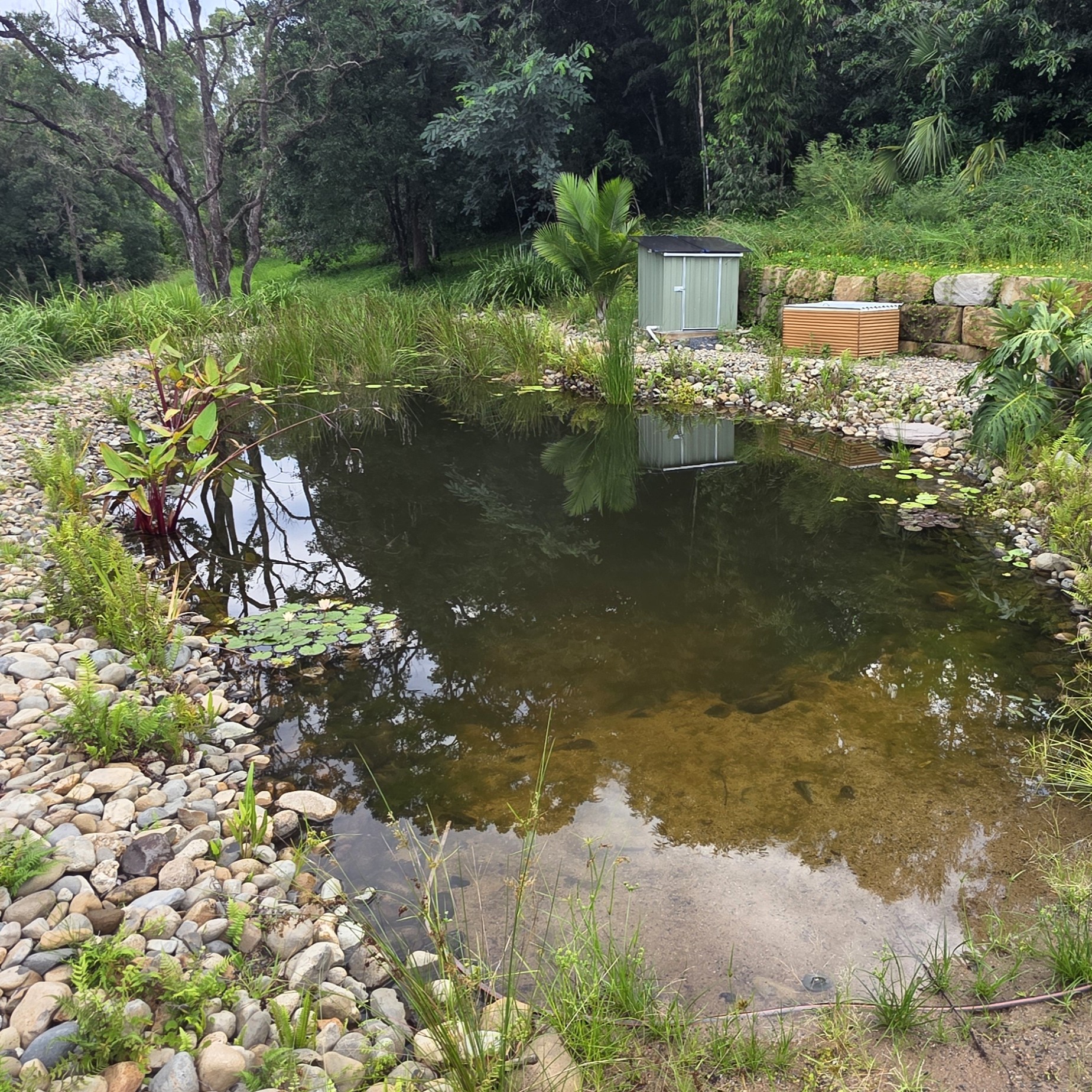 Natural swimming pool construction